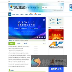 中国电子视像行业网