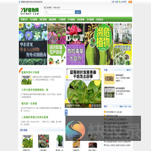 农业种植技术,植物花卉图片,家居绿化