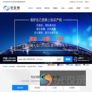 专业网络品牌中文域名