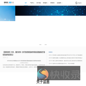 BRG蓝茵国际建筑科技官方网站