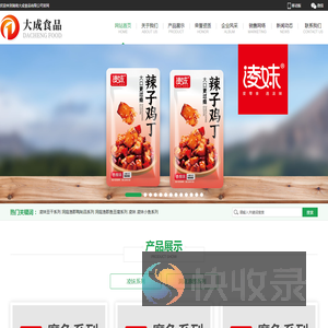 湖南大成食品有限公司