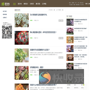岁草网