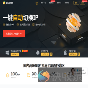 柚子网络