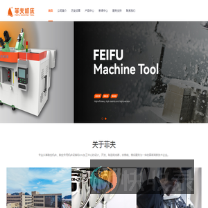 浙江菲夫自控设备有限公司
