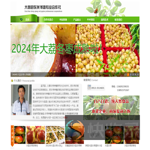 大荔冬枣批发