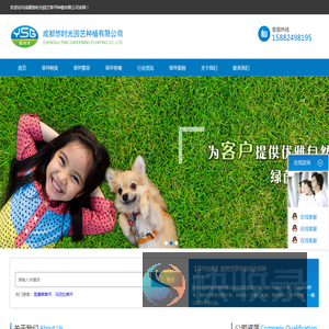 草坪批发价格