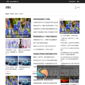 洋葱头