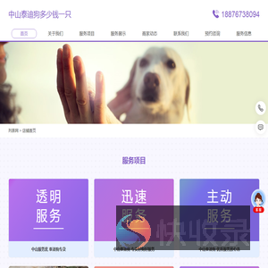 中山泰迪狗多少钱一只