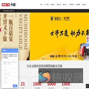 品牌策划公司