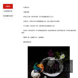 我的美食菜单