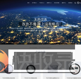 乐清天恩仪表厂