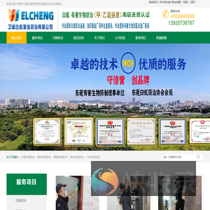 东莞南城白蚁防治