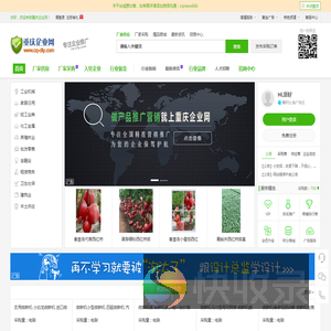 重庆企业网