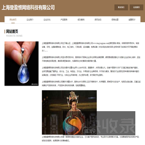 上海登盈惯网络科技有限公司