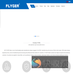英国FLYGER弗莱戈阀门