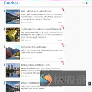 小熊网