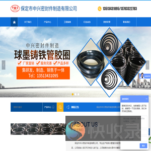 保定市中兴密封件制造有限公司