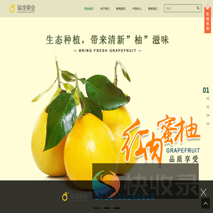 泉龙果业