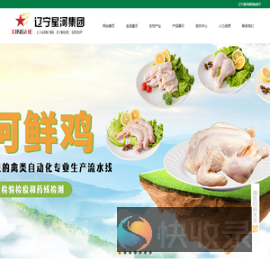 辽宁星河集团