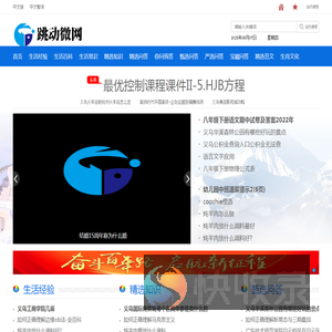 跳动微网