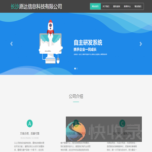 软件开发