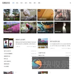 网漏吞舟网