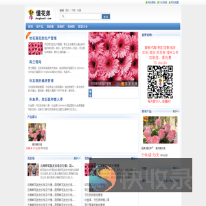 云南鲜花速递网