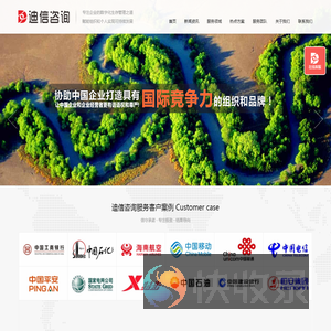 迪信咨询