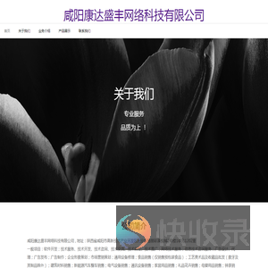 咸阳康达盛丰网络科技有限公司