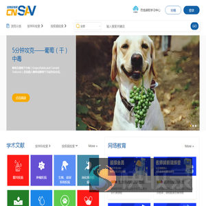 宠物医师网