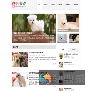 茶杯犬,茶杯猫,小香猪,迷你袖珍泰迪贵宾狗