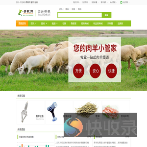 肉羊平台