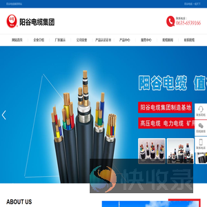 阳谷电缆