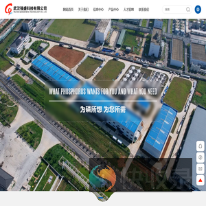 武汉强盛科技有限公司