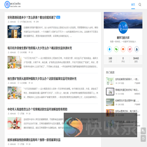 小布安利