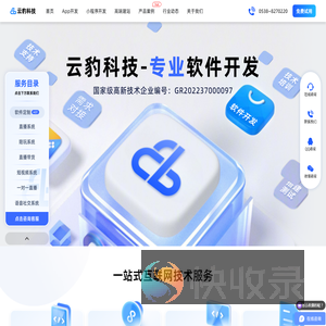 定制开发APP