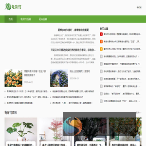 龟背竹知识网