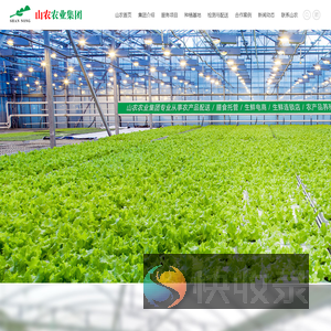 东莞蔬菜公司