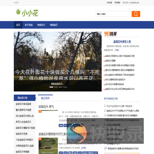 小小花