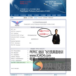 飞行翻译网站