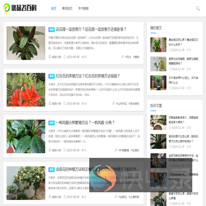 优品飞百科