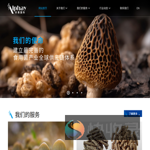 安惠国际贸易有限公司