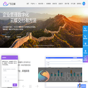 专注金蝶云ERP系统实施交付
