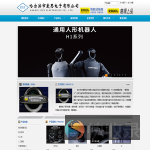 哈尔滨市爱思电子有限公司