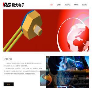 上海锐戈电子科技有限公司