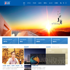 广东三正集团有限公司网站