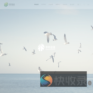 杉杉企业
