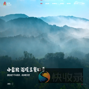 精制工业盐