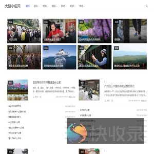 大醇小疵网
