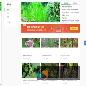 植物迷